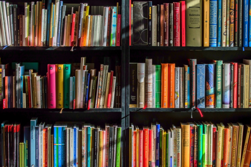 vente-LE BAR SUR LOUP-min_books_bookstore_book_reading_shop_writer_sale_books_read-822866